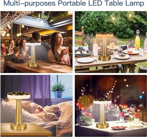 Cordless Portable LED Table Lamp, Stepless Dimming