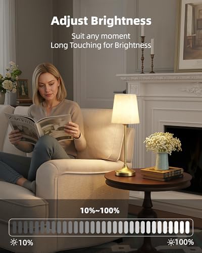 Battery Operated Lamp, 8000mAh, Ambient Light, Touch Control