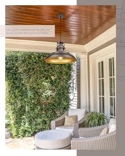FEMILA 18" Outdoor Pendant Light, Oil Rubbed Bronze