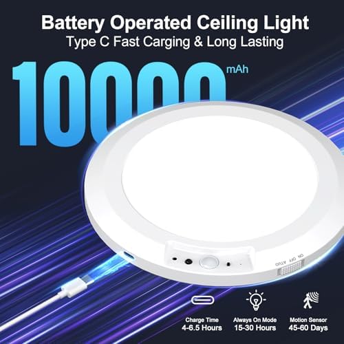 Rechargeable Motion Sensor Ceiling Light, Remote