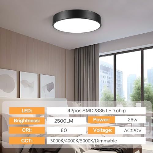 13" Matte Black Flush Mount Ceiling Light
