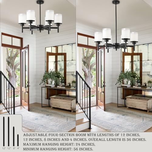 6-Light Black Chandelier with Glass Shades