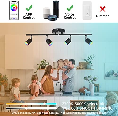 CANEOE Smart RGB Track Lighting, Black, 4 Light