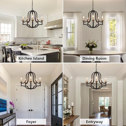 Black and Gold Chandelier Light Fixture