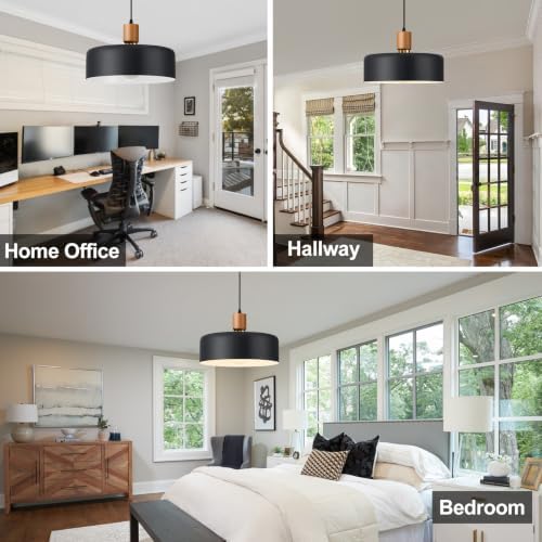Eustace 13.8inches Oak Wood & Brass Pendant Light