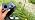 EMANER Motion Solar Lights Outdoor, Solar Floodlight, Stay On or