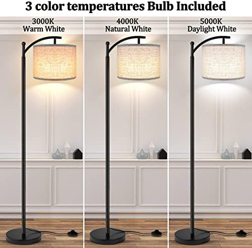 ROTTOGOON Industrial Floor Lamp, 3 Color Temperatures, Black