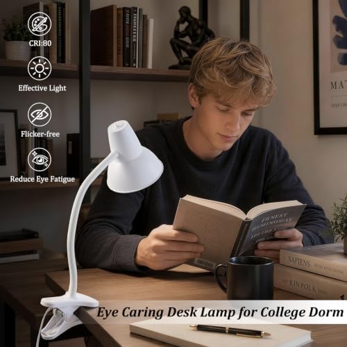 Clip-On LED Desk Lamp, Flexible Arm