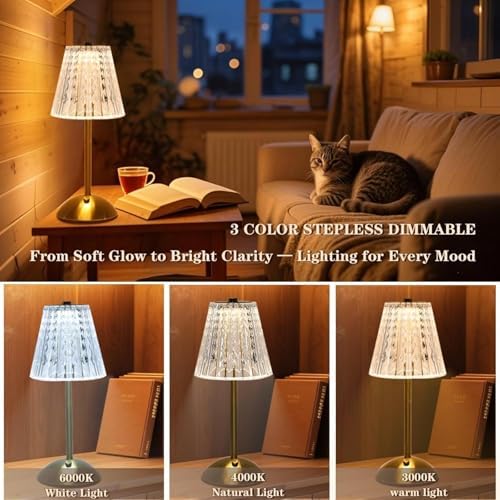 2 Pcs Rechargeable Cordless Table Lamps, Touch Dimming