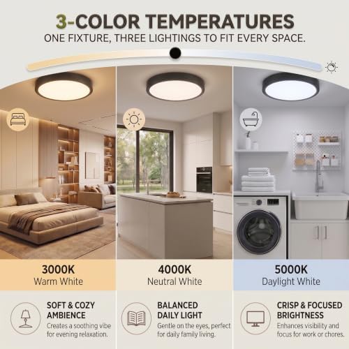 13" Matte Black Flush Mount Ceiling Light