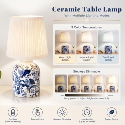 ShineTech Set of 2 Blue Ceramic Table Lamps