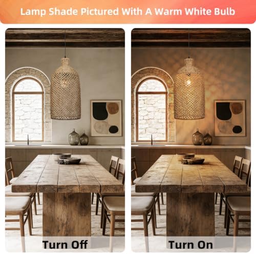 Arturesthome 1-Light Rustic Rattan Chandelier
