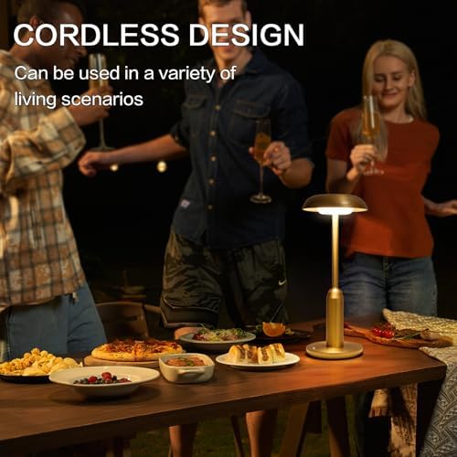 2 Pack Gold Rechargeable Cordless Table Lamps