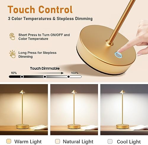 Set of 2 Cordless Rechargeable LED Table Lamps, Gold