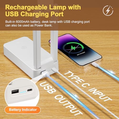 6000mAh Rechargeable Table Lamp with 3 Colors