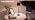 CHLORANTHUS 2 Pack Cordless Table Lamps, 3 Colors