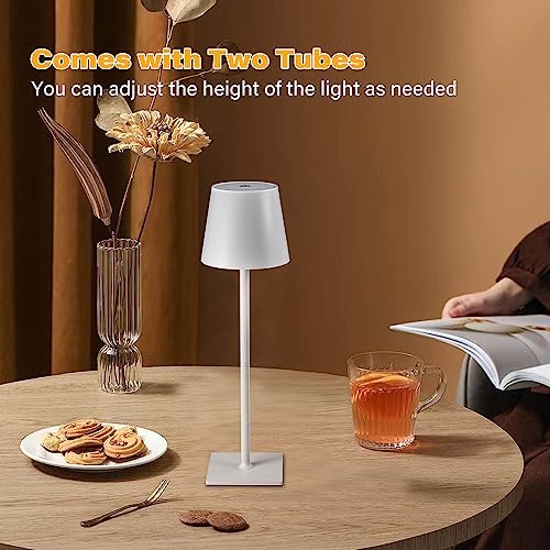 CHLORANTHUS 2 Pack Cordless Table Lamps, 5000mAh Battery
