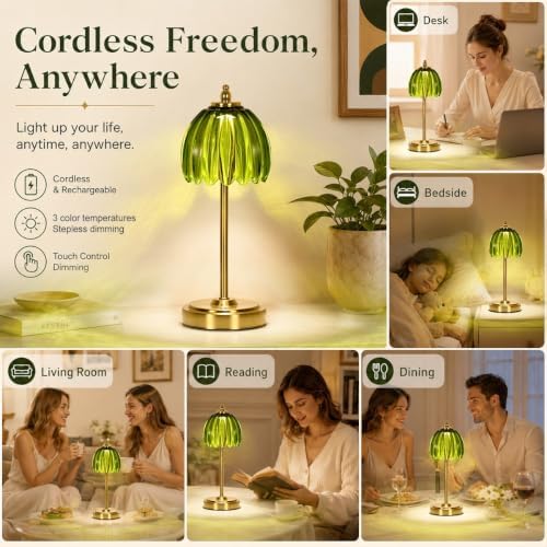 NewAoNaSen Glass Tulip Table Lamp, Cordless Rechargeable, Green