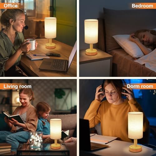 Rechargeable Cordless Touch Table Lamp, Natural Wood Base