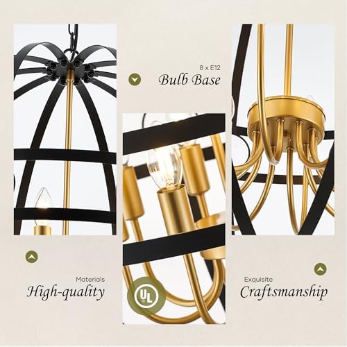 Modern Black and Gold 8-Light Chandelier, 22.8 Inch