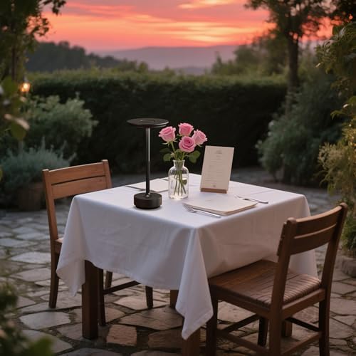 2 Pack 5000mAh Rechargeable Cordless LED Table Lamps