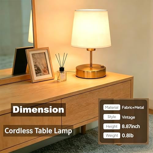Gold Portable Cordless Rechargeable Table Lamp
