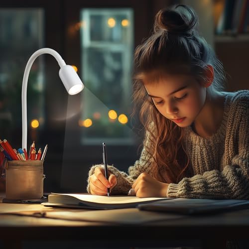 DAMI Clip-On LED Reading Light, 3000/4000/6000K