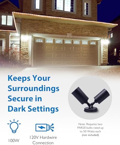 NICOR Lighting 100W Adjustable Double-Head Flood Light