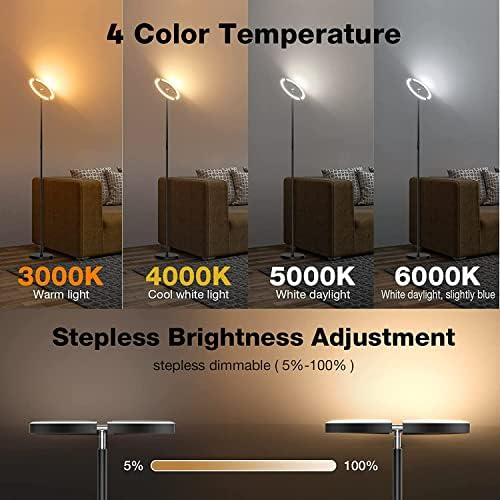 SIBRILLE 22W LED Floor Lamp, Touch and Remote Control, Black