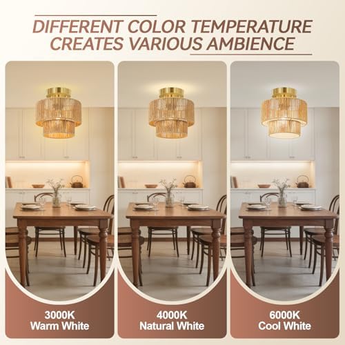 BoostArea 8.66” 2-Tier Rattan Ceiling Light
