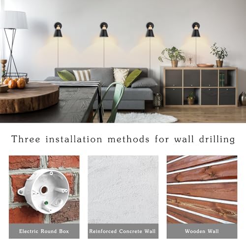 Black Plug-in Wall Sconce