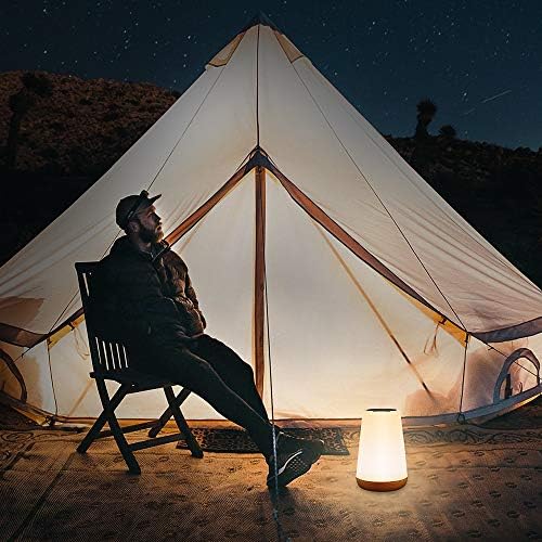 Portable Rechargeable Table Lamp, 13 Colors RGB