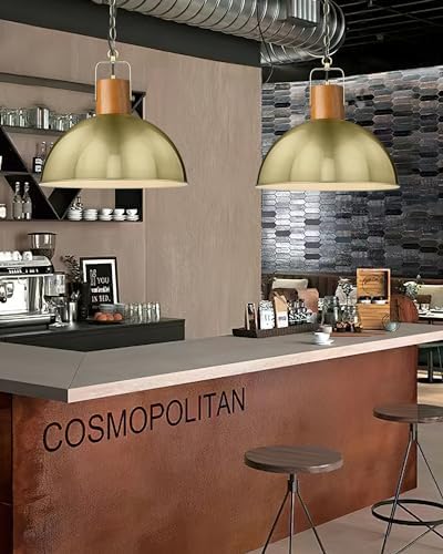 ELYONA 16" Rubber Wood Dome Pendant Light