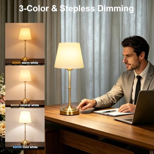 FLY2SKY Rechargeable Gold Cordless Table Lamp,3 Color Dimmable Bedside
