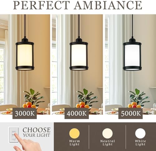 Matte Black Pendant Light, Milk Glass, 1-Light