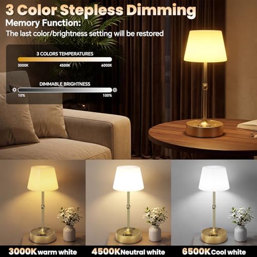 Rechargeable Cordless Touch Table Lamp with Stepless Dimming