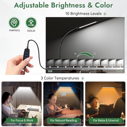 Clamp LED Desk Lamp for Home Office