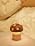 Wood Mushroom Lamp, Rechargeable Small Bedside Lamp