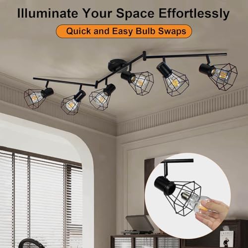 HiBay 6-Light Track Lighting Fixture