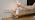 AUDLES White Cordless Table Lamp Set of 2, Rechargeable
