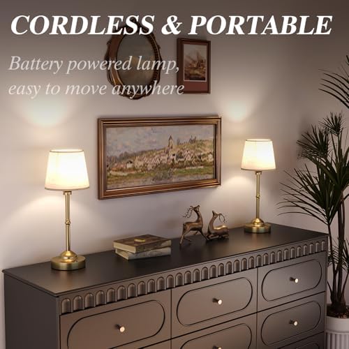 CHLORANTHUS 2 Pack Cordless Rechargeable Table Lamps