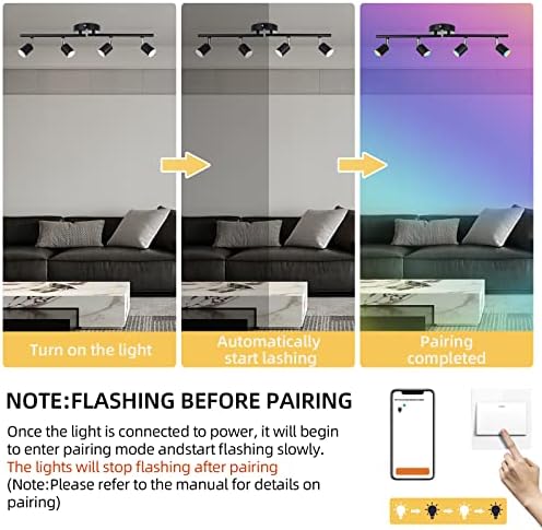 CANEOE Smart RGB Track Lighting, Black, 4 Light