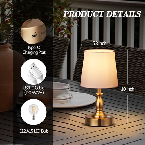 PARTPHONER Mini Cordless LED Table Lamp, 5200mAh