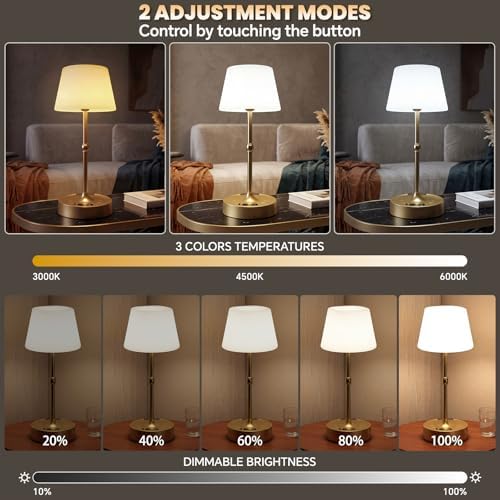 Rechargeable Cordless Touch Table Lamp with Stepless Dimming