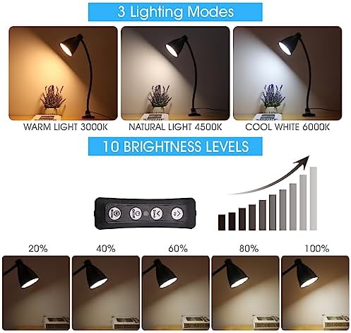 GlowVibe Clamp Desk Lamp, 3 Color Modes, 10W