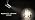 Zoomable 12W H Type LED Track Lighting Heads, 12-Pack