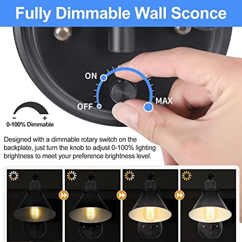 TRLIFE Dimmable Plug-in Swing Arm Wall Sconce, Two Arms