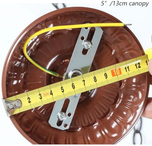 Bieye CC01 Lighting Fixture Chain and Canopy Kit