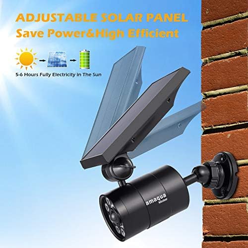 Solar Motion Sensor Spot Lights, Black, 2 Pcs