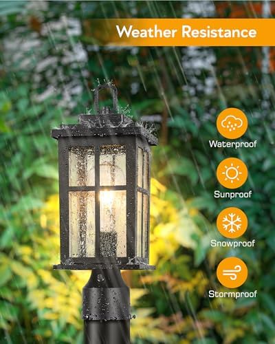 VIANIS Black 120V Hardwired Outdoor Post Light